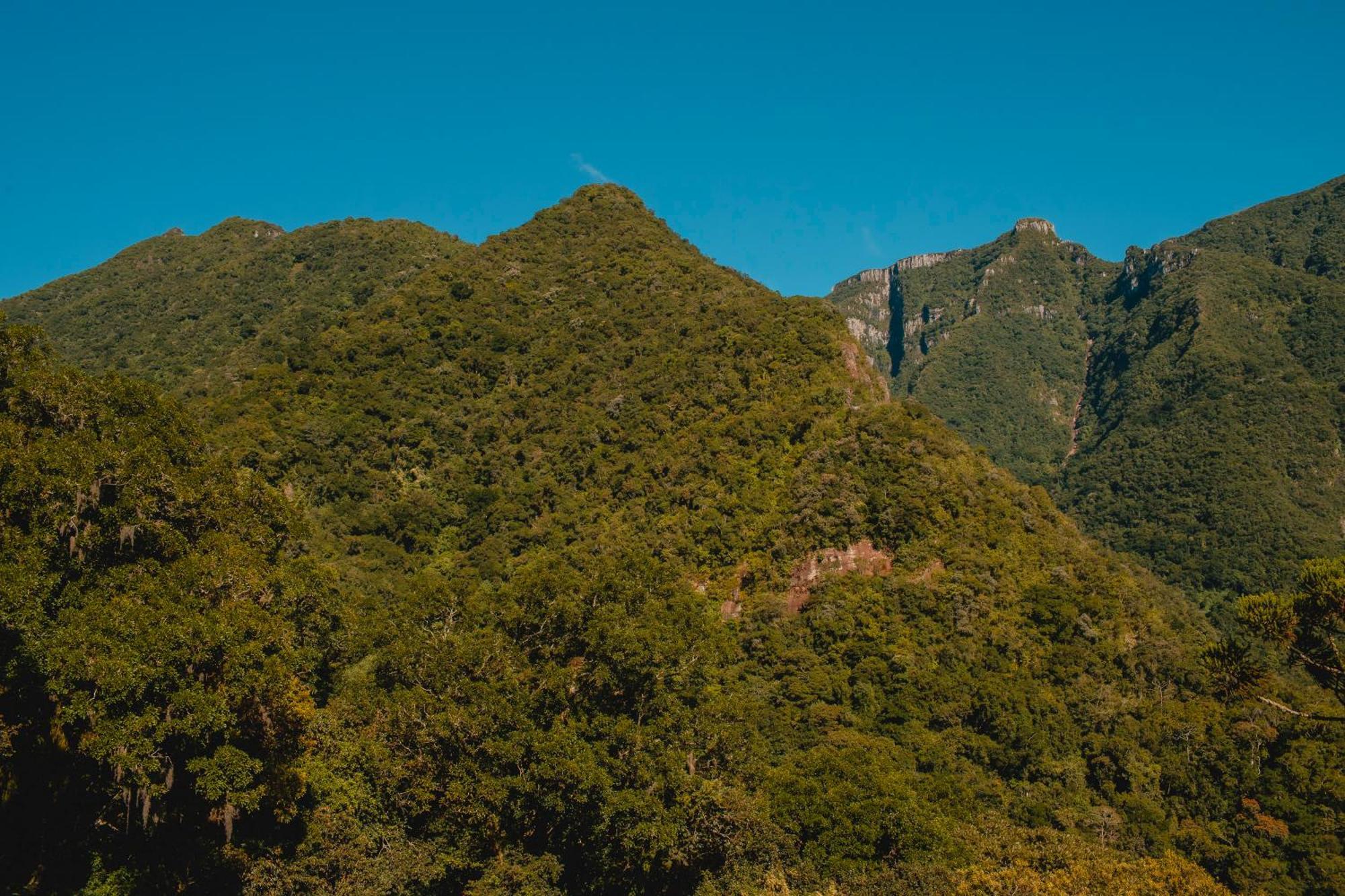 Pousada Bugio Da Serra Hotel Novo Horizonte  Luaran gambar